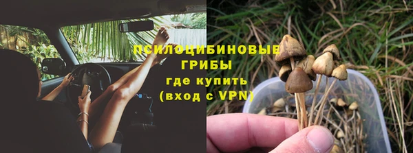 бошки Алексин